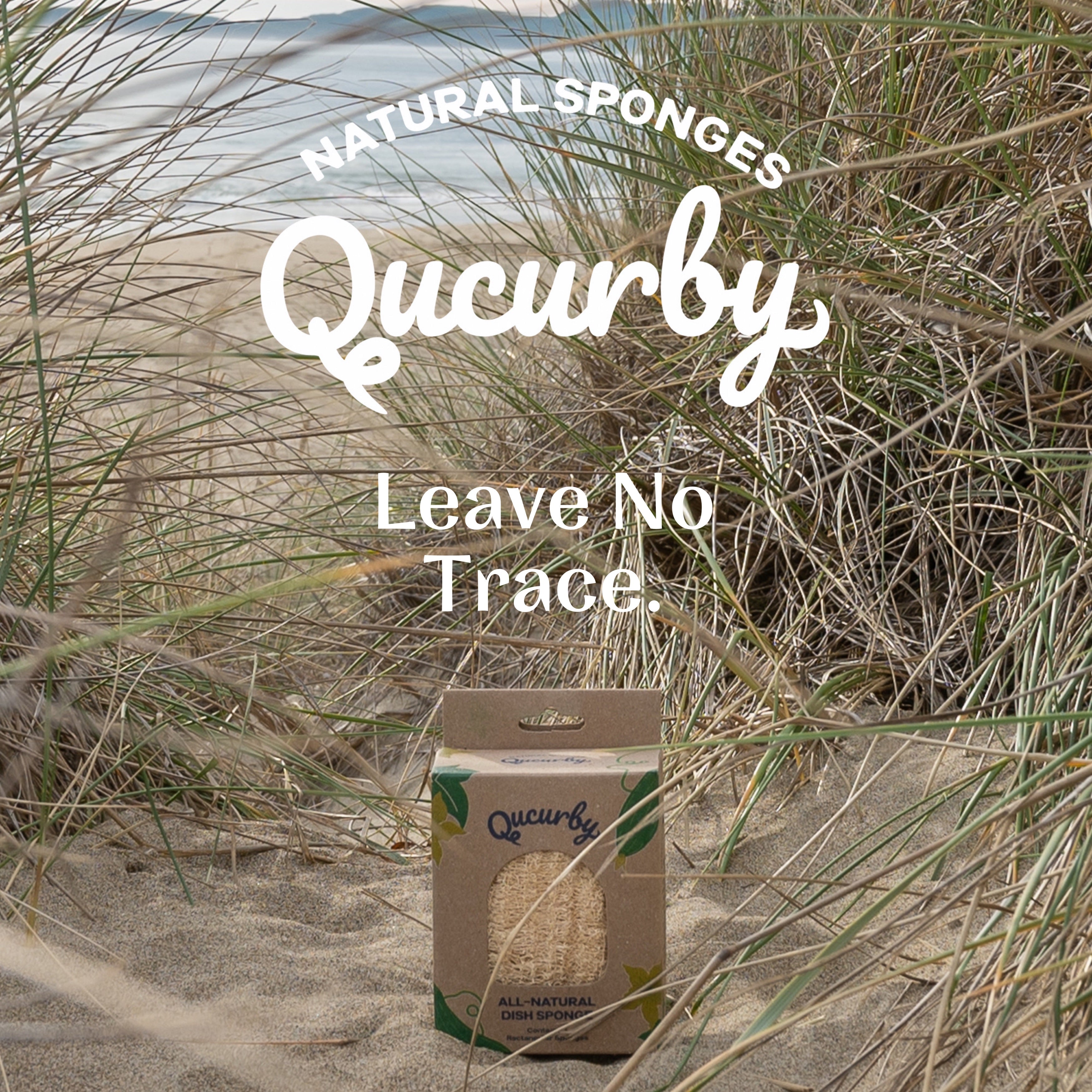 Loofah Fully Compostable Dish Sponge 3 Pack