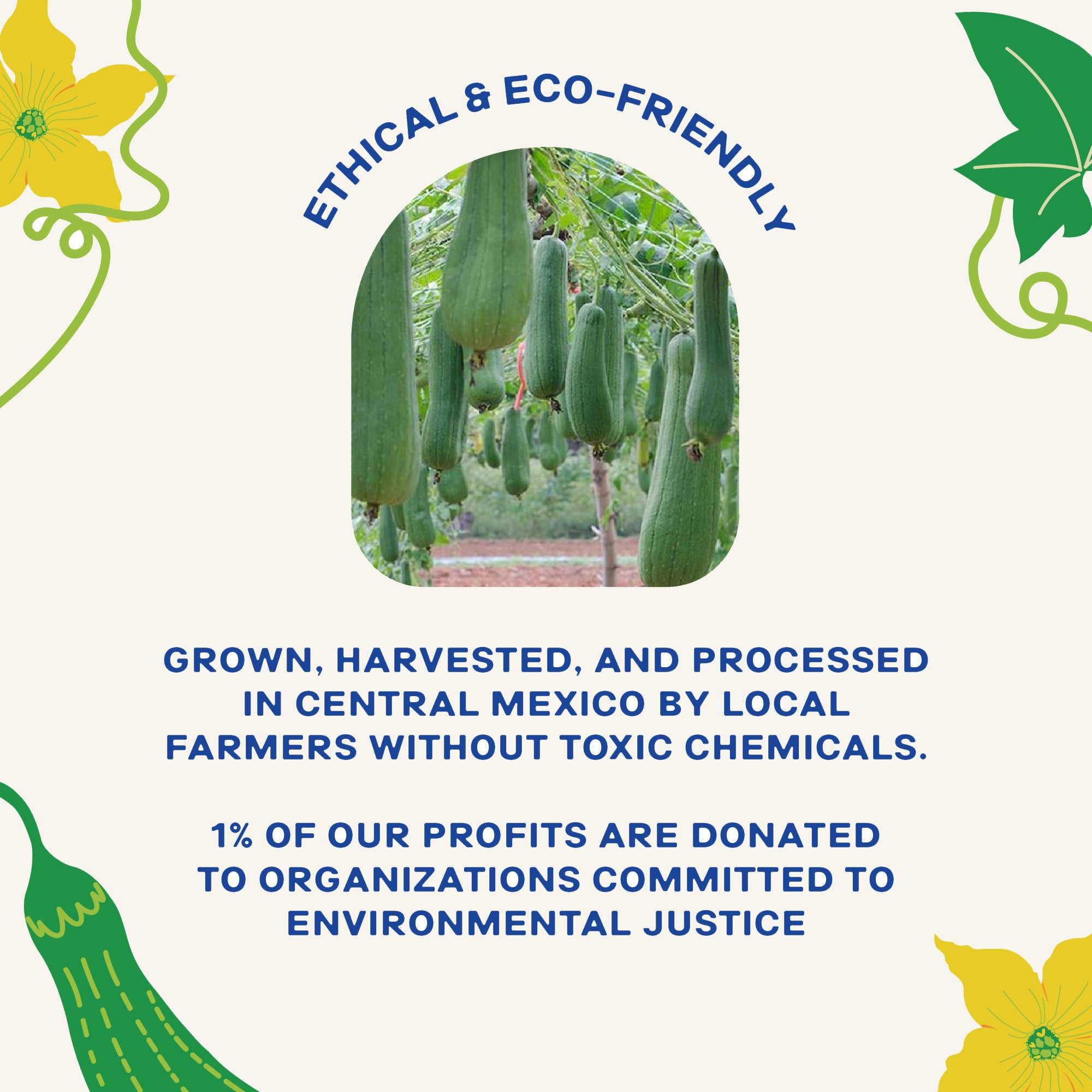 Loofah Fully Compostable Dish Sponge