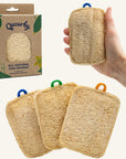 Loofah Fully Compostable Dish Sponge 3 Pack