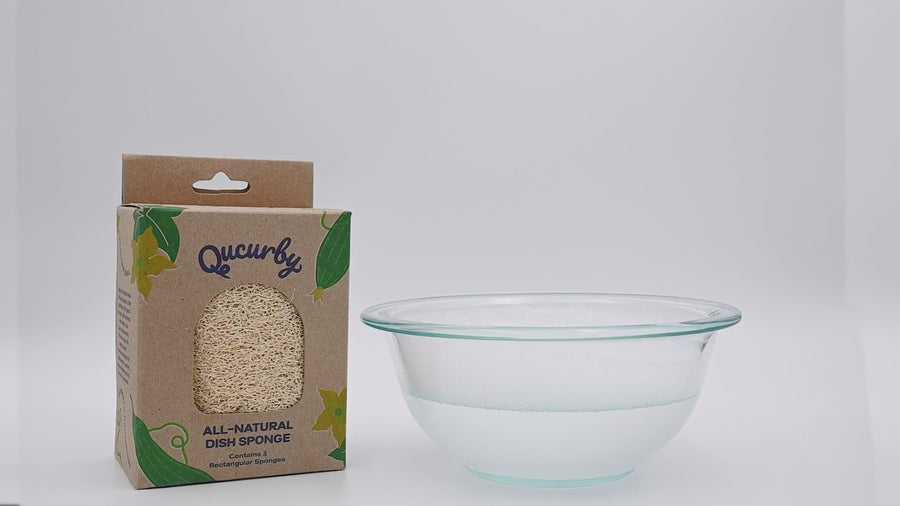 Loofah Fully Compostable Multi-colored Dish Sponge 4 Pack